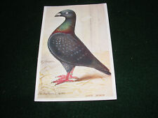 Vintage postcard art for sale  LIFTON