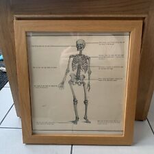 Vintage framed anatomy for sale  HULL
