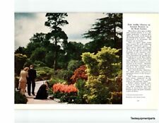 Print Ad 1950 Rock Garden | Pink Astilbe, used for sale  Shipping to South Africa