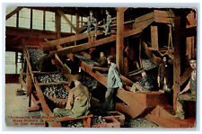 c1910 Anthracite Coal Regions Slate Pickers at Work in Coal Breaker Postcard for sale  Shipping to South Africa