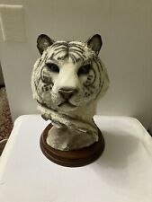 White tiger head for sale  SHANKLIN