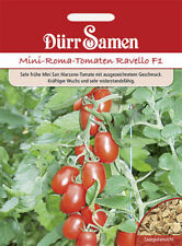 Roma tomaten ravello gebraucht kaufen  Pulheim