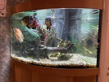 juwel tank for sale  BOSTON