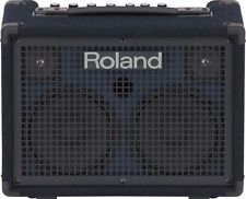 Roland 220 amplificatore usato  Altamura