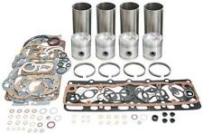 David Brown 30D, 880, 900 ,950 Implermatic Engine Overhaul Kit- Straight Liner for sale  NANTWICH