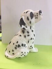dalmatian dog for sale  SHANKLIN