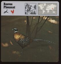Reeves pheasant safari for sale  Waupun