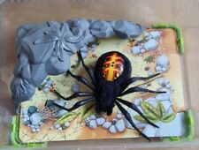 Wild pets spider for sale  ST. NEOTS