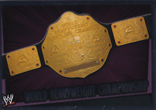 world heavyweight championship gebraucht kaufen  Hochdorf