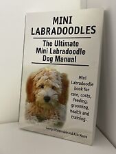 Mini labradoodles. ultimate for sale  Dushore