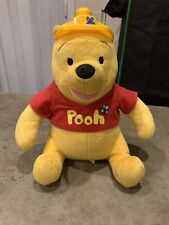 Disney Mega Bloks Build With Pooh Pelúcia Ursinho Pooh, usado comprar usado  Enviando para Brazil