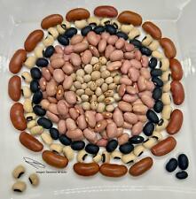 Beans peas seeds for sale  USA