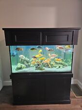 stand fish included tank for sale  Medfield