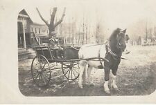 cart pony shetland for sale  Middlefield
