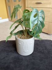 large artificial plants for sale  MANSFIELD