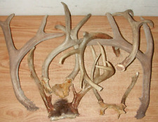 Lot single deer for sale  Keokuk