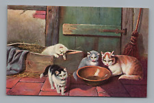 Postcard kittens cats for sale  Sebring