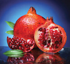 Pomegranate wonderful tree for sale  King George