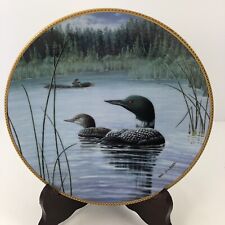 Loons bradford plate for sale  Danville