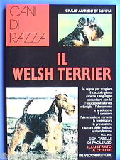 Welsh terrier. giulio usato  Salerno