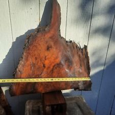 Redwood burl slab for sale  Clearlake