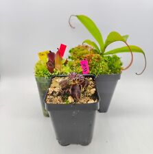 Carnivorous plant collection for sale  Saint Charles