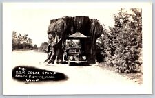 Rppc giant cedar for sale  Bremerton