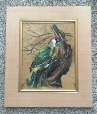 Framed woodpecker oil for sale  BANBURY