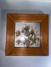 Small dried flower for sale  Gurnee