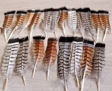 Lote de 20 plumas de urogallo rizado artesanías nativas americanas marrón gris segunda mano  Embacar hacia Argentina