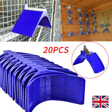 20pcs pigeon bird for sale  UK