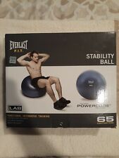 Everlast fit stability for sale  Paramount