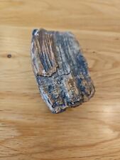 Wooly mammoth tooth for sale  EXETER