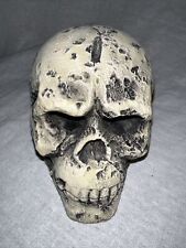 Monkey skull stone for sale  San Francisco