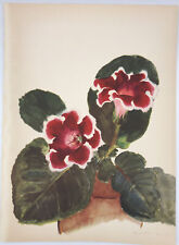 Arlette Davids "Gloxinia Hybrid" 10x14" vintage botanical flower print #40 for sale  Shipping to South Africa
