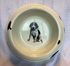 enameled dog bowls for sale  North Anson