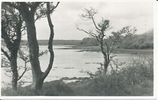 Pc19651 river cleddau for sale  MAIDSTONE