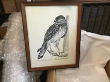 Vintage marsh hawk for sale  Crawfordville