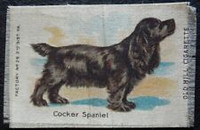 Cocker spaniel breeds for sale  NORTHAMPTON