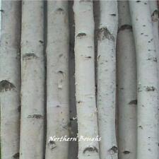 Thick white birch for sale  Marengo