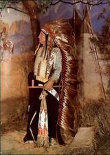 DDR Postkarte RADEBEUL Sachsen Karl May Indianer Häuptling American Horse AK gebraucht kaufen  Wöllstein