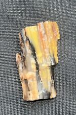 Opalized petrified wood for sale  Vancouver