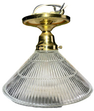 Incandescent ceiling light for sale  Detroit