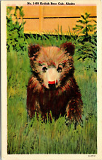 Postcard kodiak bear for sale  Sarver