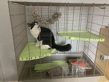 Pets At Home Rat Cage With Accessories for sale  TAMWORTH