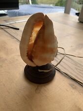 Cameo antique lamp for sale  PERTH