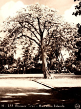 Cartão postal vintage c1951 RPPC linda árvore de banho em ilhas havaianas, Msg To Mom, usado comprar usado  Enviando para Brazil
