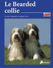 3115234 bearded collie d'occasion  France