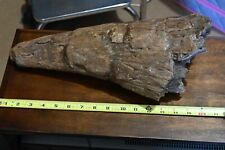 Triceratops horn hell for sale  Carlisle