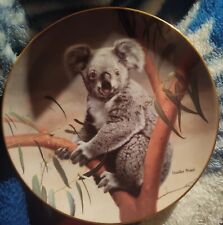 Bradex koala charles for sale  Austin